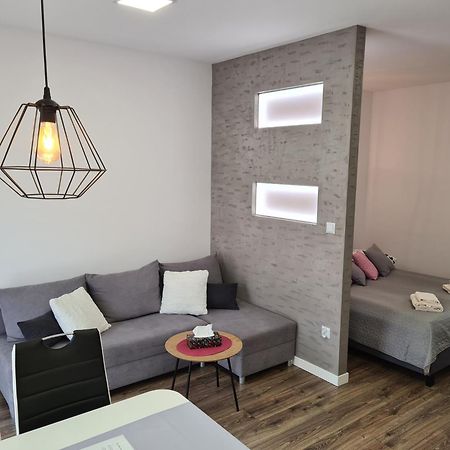 Apartamenty Belska Centrum Ustrzyki Dolne Extérieur photo